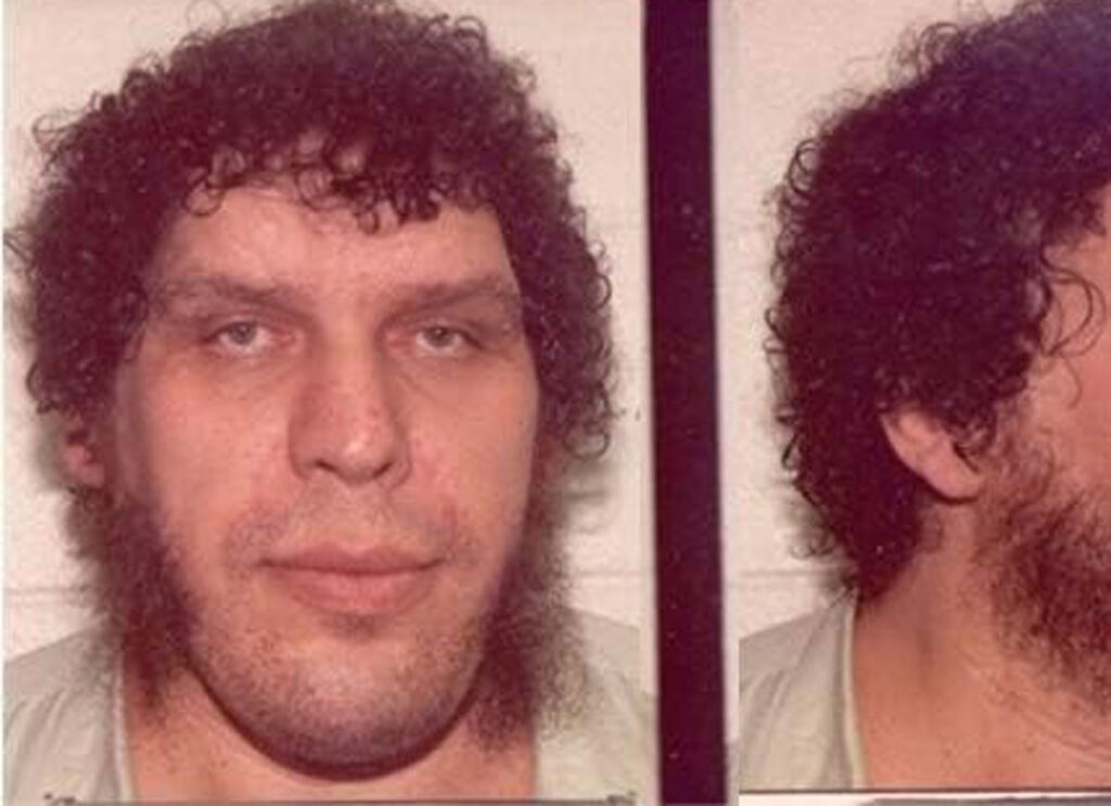 André the Giant, 1989